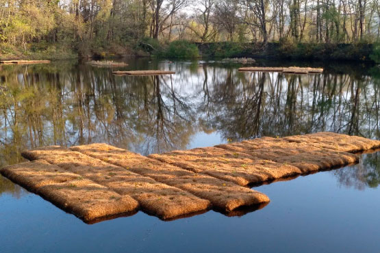 Servicios ambientales con infraestructuras para la fauna