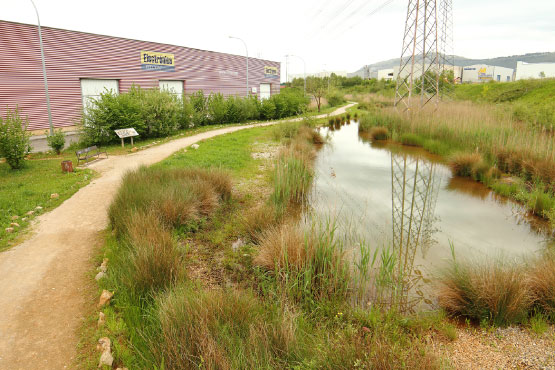 guarnizo